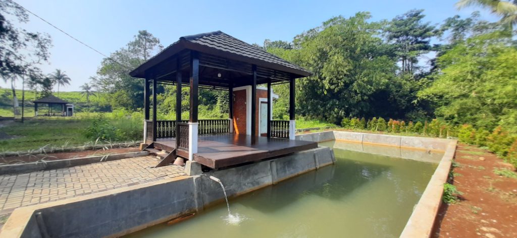 Kolam passive income budidaya lele di Tasnim Property