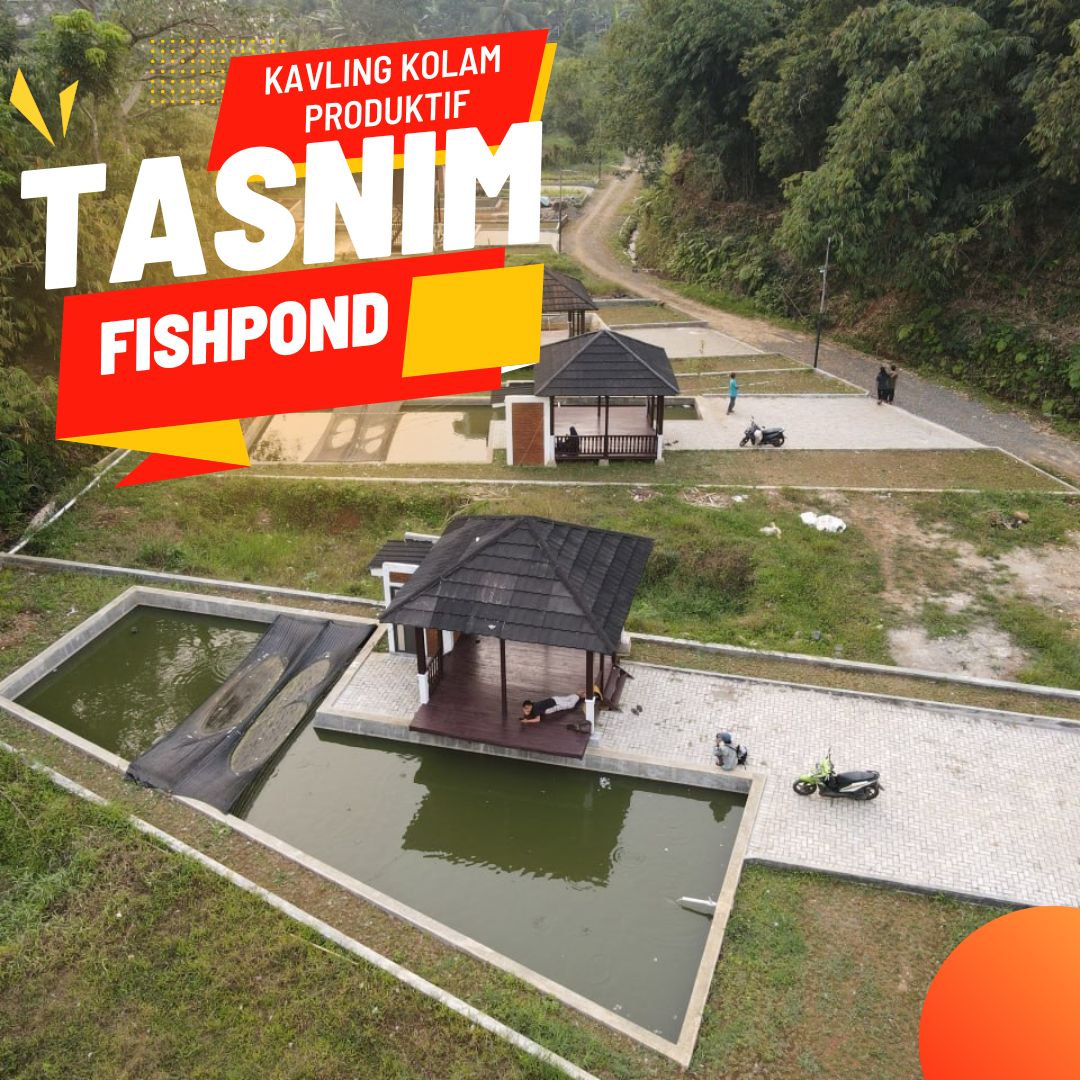 Tasnim Fishpond budidaya lele